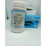 Obat Ikan Gabus Pro Albumin Extra