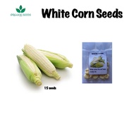 WHITE CORN SEEDS/LAGKITAN/CORN SEEDS/HYBRID (15pcs)
