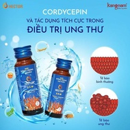 Hector Cordyceps Ginseng Water Box of 10 Bottles Hector Cordyceps Ginseng