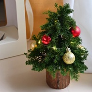 體驗活動 【聖誕節限定調香體驗】大豆蠟燭、聖誕樹DIY