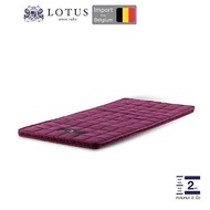 LOTUS ที่นอนยางพาราพารา 100% ลดอาการปวดเมื่อย กระตุ้นระบบไหลเวียนเลือด Latex made in Belgium ส่งฟรี