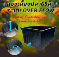 อ่างเลี้ยงปลา 65 ลิตร ระบบoverflow 64x44x31ซ. สามารถปรับระดับน้ำ และถอดท่อเปลี่ยนน้ำได้ กะบะเลี้ยงปล