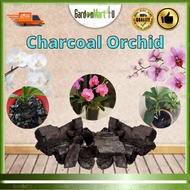 GM4U Charcoal Arang Orkid Hidup Charcoal BBQ Arang Batu Activared Carbon Charcoal Bunga Pokok Arang Kayu Bakau 350G 火炭