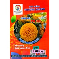 Super Dwarf Marigold Mini PH30 Red Orange Phoenix Seeds