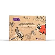 Andermatt Biogarten Ladybird Breeding Set – Adalia bipunctata Breeding Home – Gift Box with Voucher