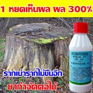 เกษตรกรต้องมี 2023 รากเน่ารากไม่ขึ้นอีก ยาฆ่าตอไม้  XXXT  200ML ไม่มีสารตกค้างไม่เป็นอันตรายต่อคนและสัตว์เ ยาฆ่าต้นไม้ ผลติดทนนาน ยากำจัดต้นไม้ใหญ่  ยาฆ่าตอต้นไม้  ยาฆ่าตอไม้ใหญ่  สารกำจัดตอไม้  ยาฆ่ากอไผ่ ยาฆ่าไม้ยืนต้น กำจัดต้นไม้ ยาทำลายตอไม้