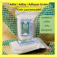 1kilo Organic Adlai / Adlay / Adlayan Rice / Coix lacryma-jobi (Freshly Milled from Bukidnon)