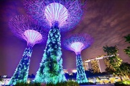 新加坡自由行-玩樂獅城、5日吃到飽網卡