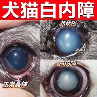 Dog Eye Drops Dog Eye Drops Turbid Eye Drops Eye Drops Dog Eye Drops More Turbid Light Old Tears Eye