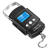 50Kg x 0.01Kg Electronic Digital Handing Mini Pocket Scale 10G Portable Luggage Travel Fishing Scale