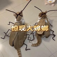 🔥Taiwan Shipment🔥 Pet Cockroach Cloak Cat Cockroach Clothing Cockroach Clothing Pet Cockroach Clothi