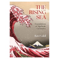 Paper English books The Rising Sea: Foundations of Algebraic Geometry  2025