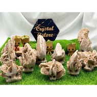 |SG| Desert Rose Big Groot New~