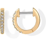 PAOI14K Gold Plated Zircon Earrings Earrings