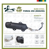 Exhaust BUBO STEEL FORZA250 / NSS250 cutting standard back pressure low noise