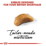 Royal Canin 10kg British Short Hair BSH Adult Dry Cat Food Makanan Kucing Feline Health WH5