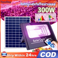 ไฟปลูกต้นไม้โซล่าเซลล์ 300W ไฟปลูกต้นไม้โซล่าเซล led grow light ไฟต้นไม้led แสงสีม่วง【0 ค่าไฟฟ้า】