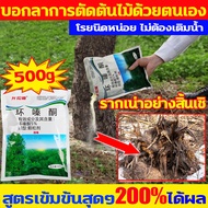 ฆ่าต้นไม้ใหญ่100ปีอย่างง่ายๆ ยาฆ่าต้นไม้ใหญ สูตรเข้มข้นสุดๆ200%ได้ผล ยากำจัดต้นไม้ใหญ่ รากเน่าอย่างส