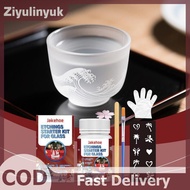 ziyulinyuk Glass Etching Art Craft Kit Reusable Etch Cream & Tools For DIY Glassware Ceramic Decorat