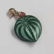 西瓜皮椒草 Peperomia sandersii 皮革黃銅掛飾