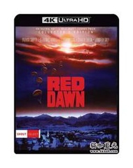 4K UHD 天狐入侵/紅色黎明/赤色黎明 Red Dawn (1984)