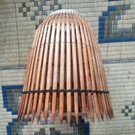 Serkap ikan/ Serkap Buluh