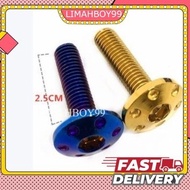UNIVERSAL SKRU TITANIUM & GOLD SKRU FENDER EKOR BELAKANG Y15ZR Y150 YSUKU REAR SCREW GOLD TITANIUM S