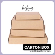 Kraft Carton Box Corrugated Cardboard Packaging Shipping Mailer Box
