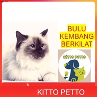 Soft, SHINY FUR CAT WITH DEVELOPMENT MEDICINE SUPPLEMENT