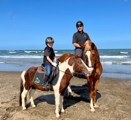 นิวไทเป | ประสบการณ์เบื้องต้นขี่ม้าที่ Tamsui