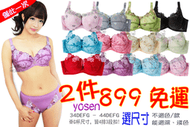 #887# 台灣製 yosen 回購率最高款深杯 34F 36F 38F 40F 42F 44F,2件899元免運費內衣