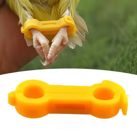 6PCS Poultry Leg Bands Baby Chick Splay Leg Hobble for Quails Birds Ducks Bird External Eight Legs a
