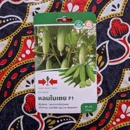 (EXP 19/05/2025) TIMUN PANDAN F1 "PANAH MERAH" @  pandan cucumber SEED BENIH THAILAND
