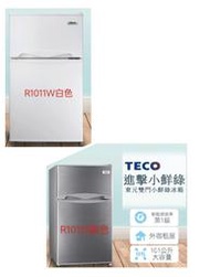 TECO 東元101公升一級能效小鮮綠雙門冰箱(R1011W白色)(R1011S銀色)高雄市店家