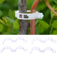 Tomato Garden Plant Support Clips garden ornaments for Trellis Twine Greenhouse Tomato Plant Graftin