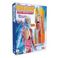 SmartLab Toys  - Squishy Human Body model