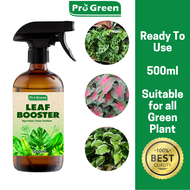 Leaf Foliar Fertilizer | Baja Pokok Keladi & Foliar Daun (500ml)