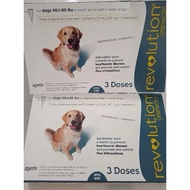 Revolution Cat and Dog Teal 40.1-85lbs