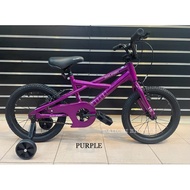 Raleigh Expert 16” Kids Bike/ Basikal Budak (5 Years Warranty)