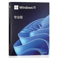 Professional Version Win11 System USB Drive Computer Reinstallation Windows10 Home Chinese Edition U