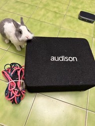義大利 audison 原裝進口 APBX 8 AS2 重低音.功率輸出為400W RMS