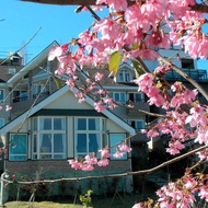 โรงแรม Dreamtown - Cingjing, Ren'ai