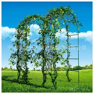 Wedding Climbing Rack Arch Arch Arch Flower Bracket Grape Garden Balcony Climbing Rack Balloon Gate 