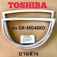 ขอบยางตู้เย็น TOShiba รุ่น GR-MG46KD (2 ประตู)