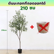 ส่งของในไทย ต้นมะกอกปลอม พร้อมกระถาง กระถางดอกไม้ทอ ลำต้นสีน้ำตาลเหมือนของจริง ต้นมะกอกโอลีฟ ต้นไม้ป
