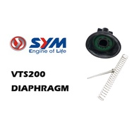 SYM VTS200 DIAPHRAGM SET - CARBURETOR DIAPHRAGM RUBBER GETAH SLIDE BUSH SLIDE NEEDLE SET VTS