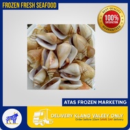 [🚚 KLANG VALLEY ONLY] SIPUT GONGGONG 1KG