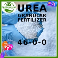 UREA FERTILIZER 46% NITROGEN (1Kg) - Incuding Instructions