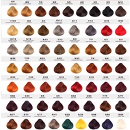 30pcs Dye rambut pewarna PEWARNA RAMBUT HAIR DYE COLOUR 100ml/Fashion Hair Color Saloon Professional