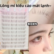 Dây Mi Giả Fox Series Ngắn Không Cần Keo Tự Dính Cho Phụ Nữ Mi Mắt Dọc Siêu Mịn Tự Nhiên 8mm Dây Mi